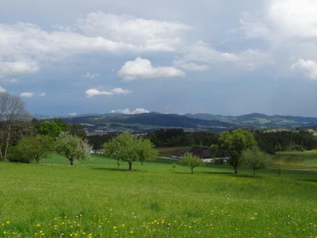 Desl'S Little Farm Apartment Waldburg ภายนอก รูปภาพ
